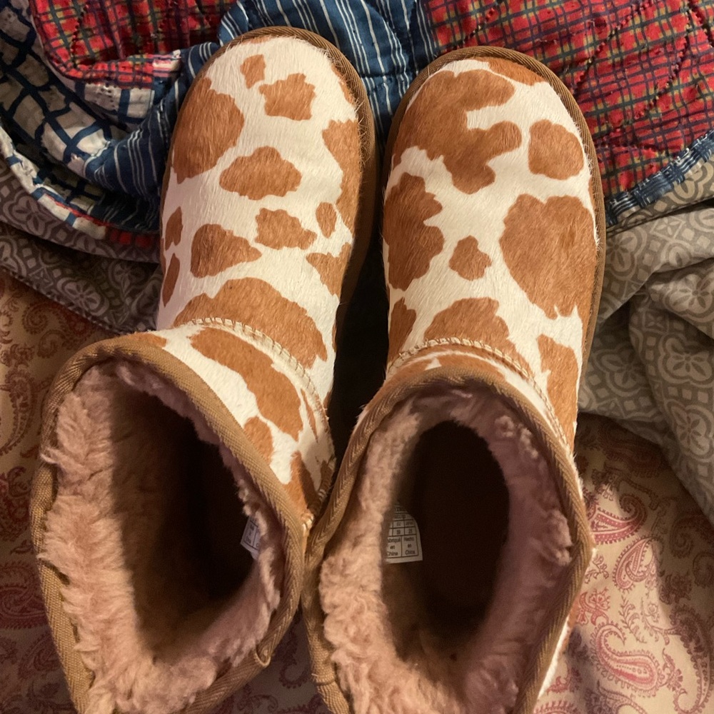 Cow print uggs